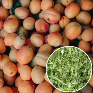Confiture abricot et thym