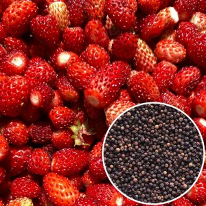 Confiture fraise et poivre noir