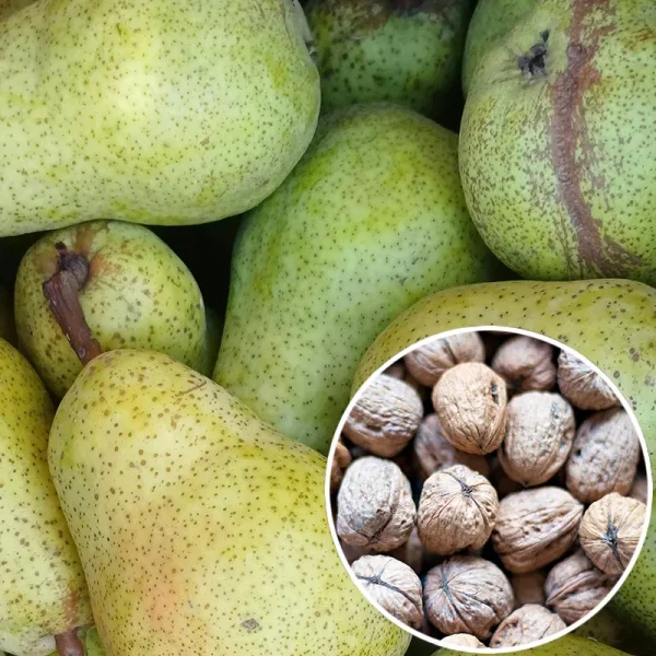 Confiture poire noix Confiture poire noix