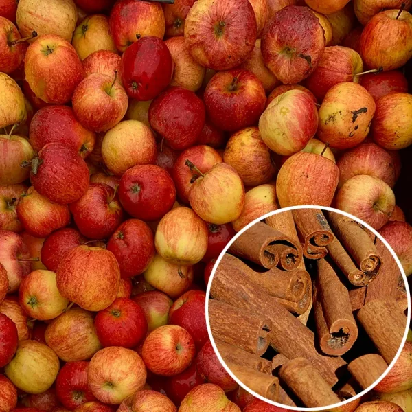 Confiture pomme cannelle Confiture pomme cannelle